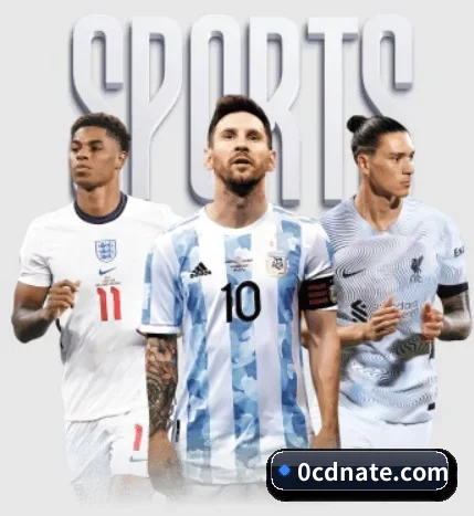 五大服务分区,信息按项目分类（LEDONG.COM）